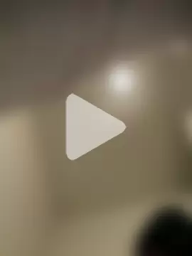 wolfwhite95 photo 27