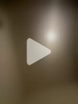 wolfwhite95 photo 26