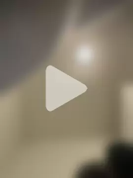 wolfwhite95 photo 25