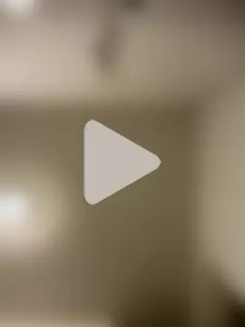 wolfwhite95 photo 22