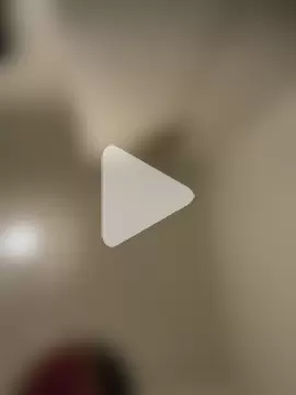 wolfwhite95 photo 14