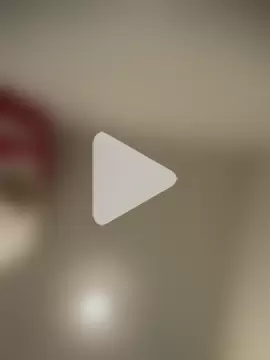 wolfwhite95 photo 10