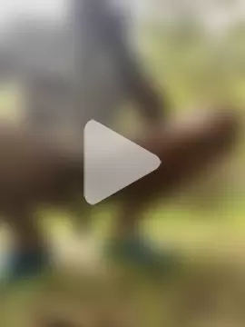 wonderfem101 photo 17