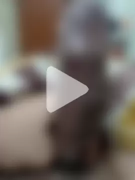 wrong_man25 photo 22