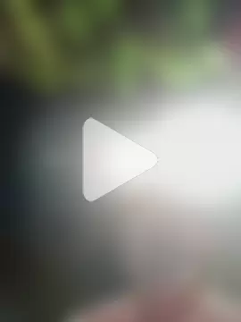 ww156156 photo 15