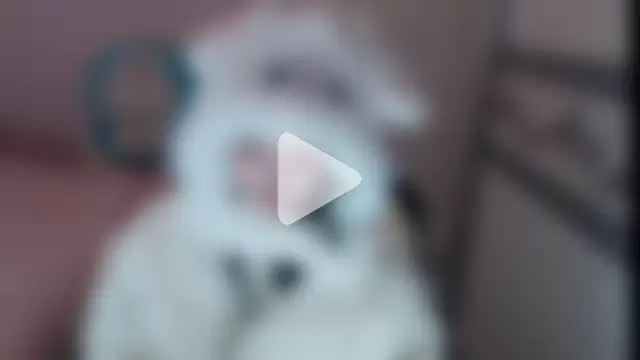 xiao-xiao-D photo 27