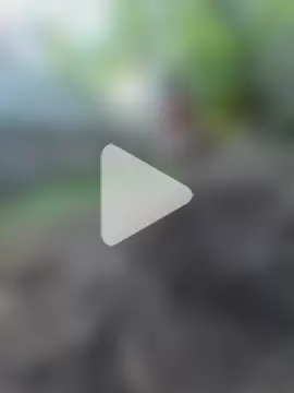 xxxplicitcontent photo 5