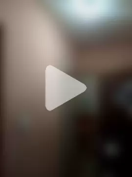 yoguitolokoche photo 9