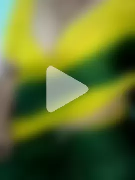 your-sameera photo 1