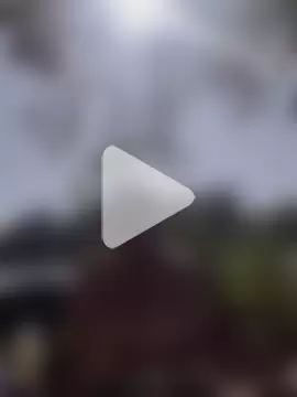 yourpersonalpeer1 photo 7
