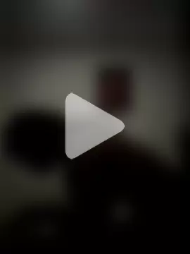 zaracollins01 photo 28