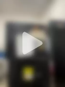 zaracollins01 photo 22