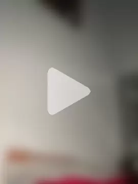 zaracollins01 photo 19