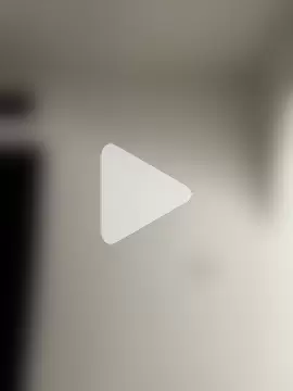 zaracollins01 photo 11