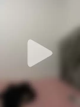 zaracollins01 photo 3