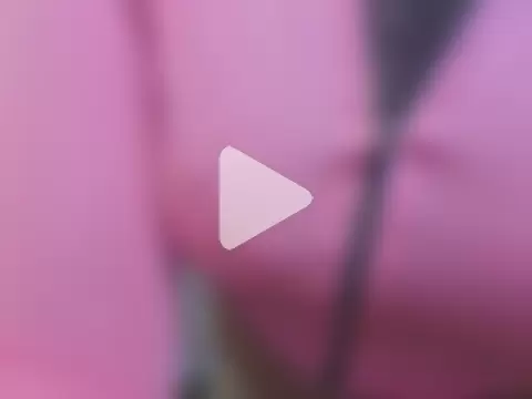 zarcasutra_t photo 2