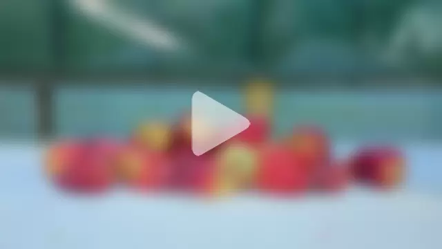 zarcasutra_t photo 12