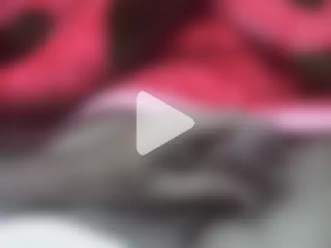 zero1122twt photo 27