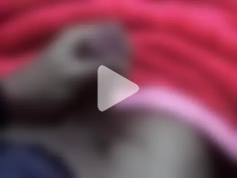 zero1122twt photo 17