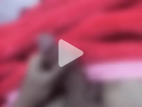 zero1122twt photo 16