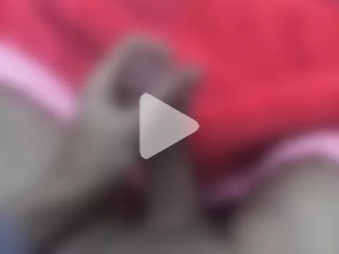 zero1122twt photo 15