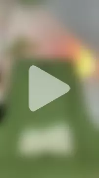 zhizhinaigai photo 23