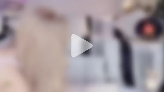 znsbsvdqw264 photo 15