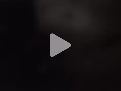 zoltard_1911 photo 8